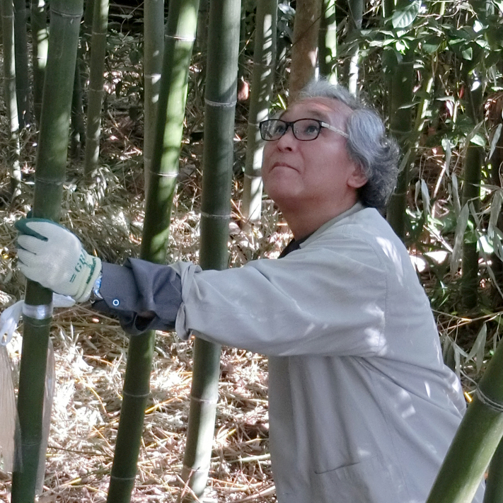 プロフィール写真